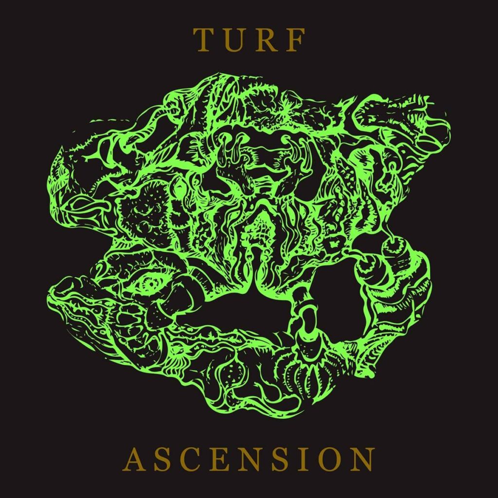 Turf Ascension