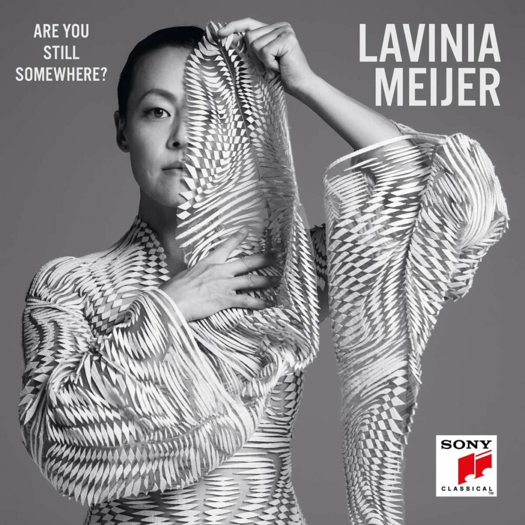 Lavinia Meijer - Are you still somewhere?