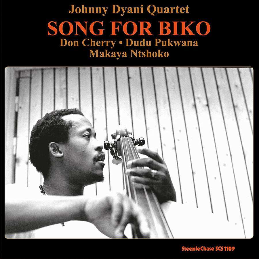 Song For Biko (180g)