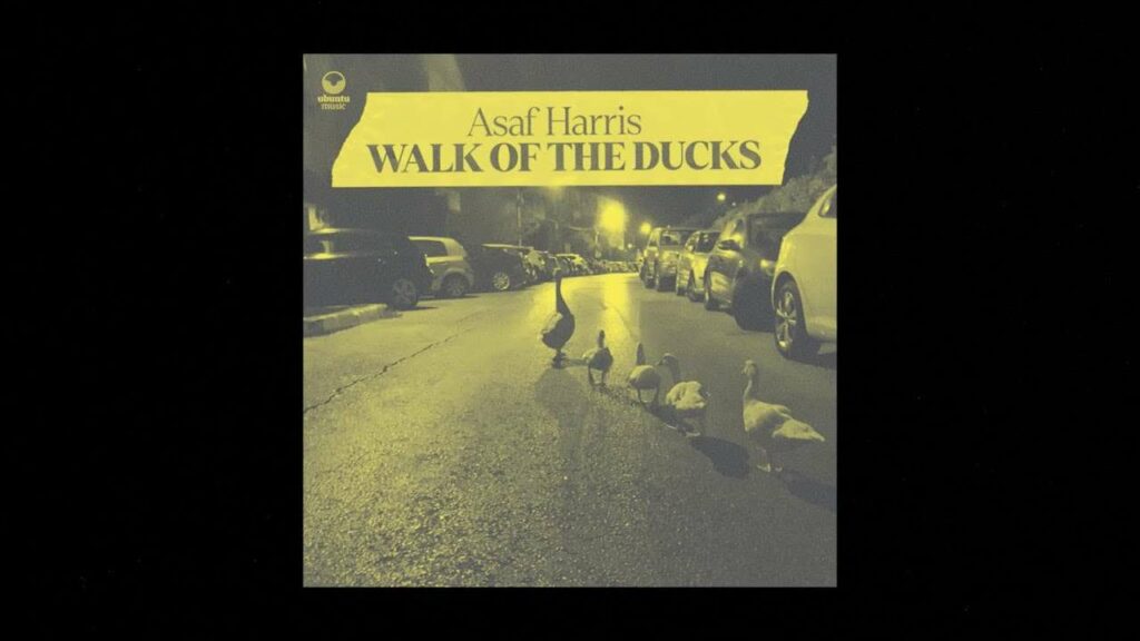 Walk Of The Ducks