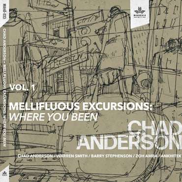 Mellifluous Excursions Vol.1: Where You Been
