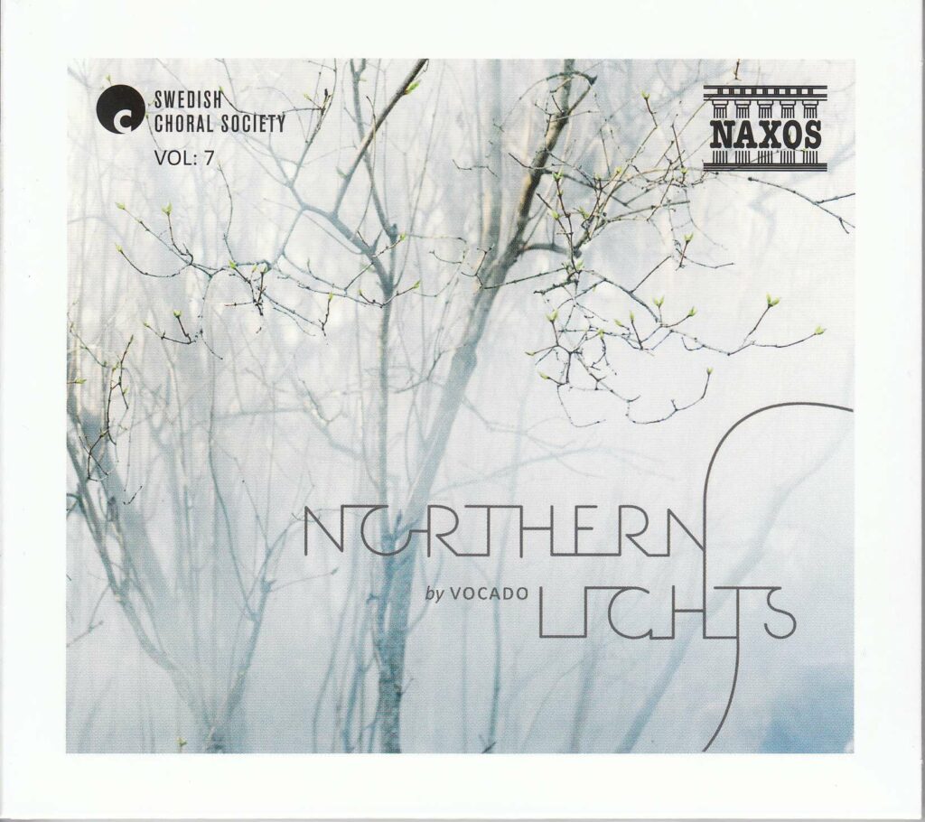 Vocado - Northern Lights