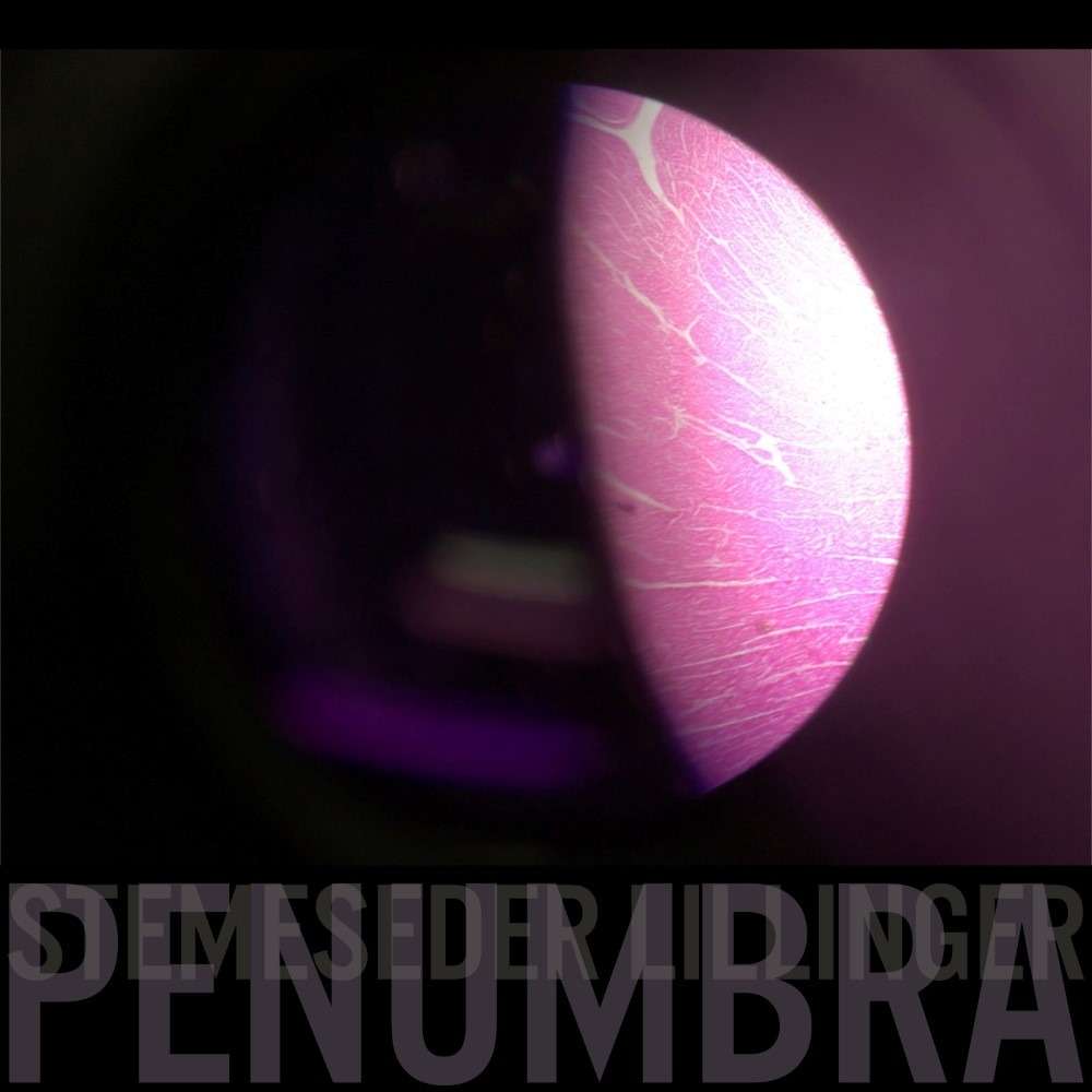 Penumbra (Limited Edition)