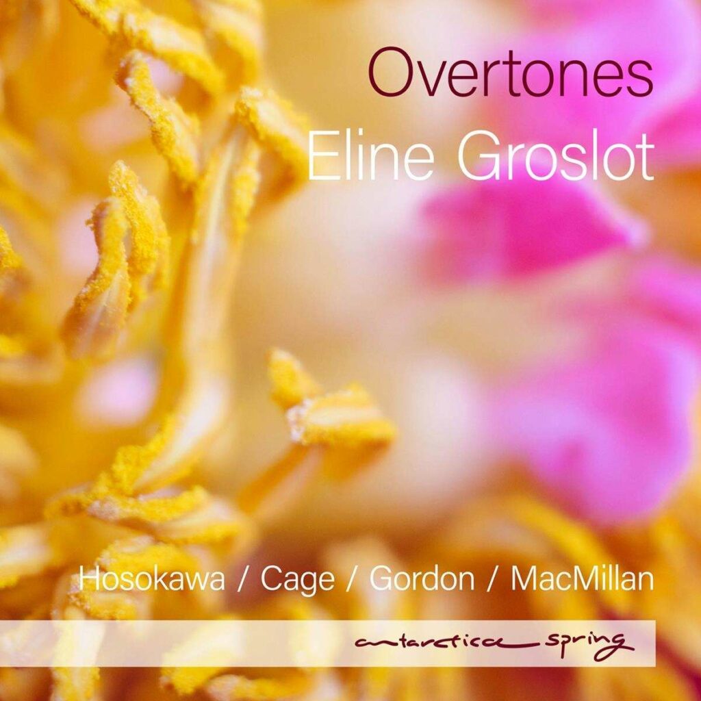 Eline Groslot - Overtones