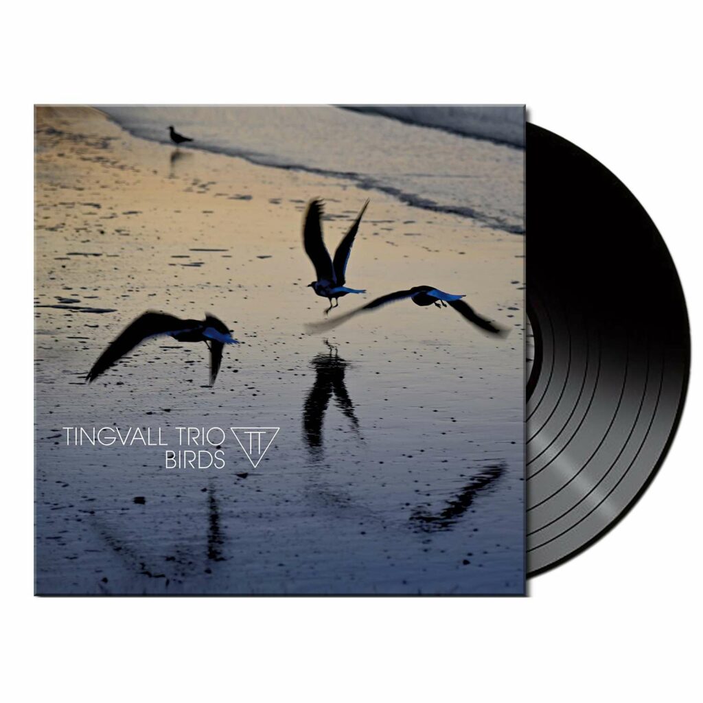 Birds (180g) (Black Vinyl)
