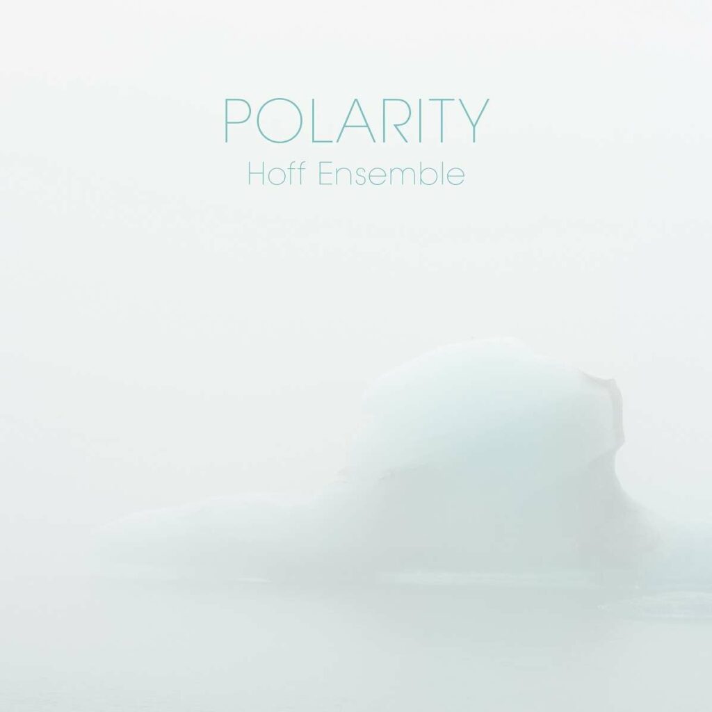 Polarity (180g) (Clear Vinyl)