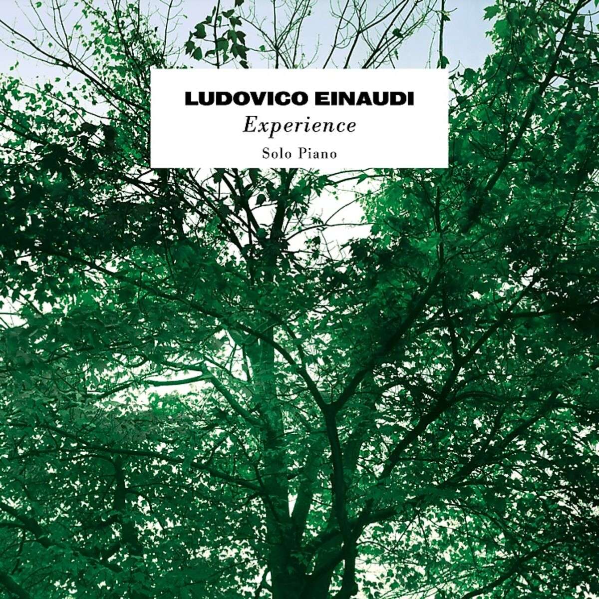 Песня einaudi experience. Experience Ludovico Einaudi обложка. Ludovico Einaudi альбомы. Ludovico Einaudi in a time lapse. Ludovico Einaudi Islands.