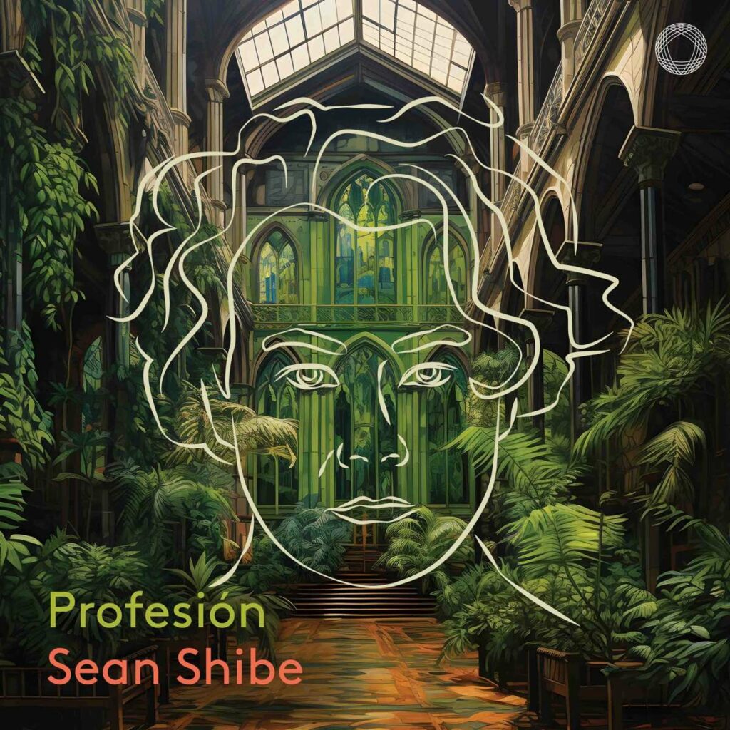 Sean Shibe - Profesion