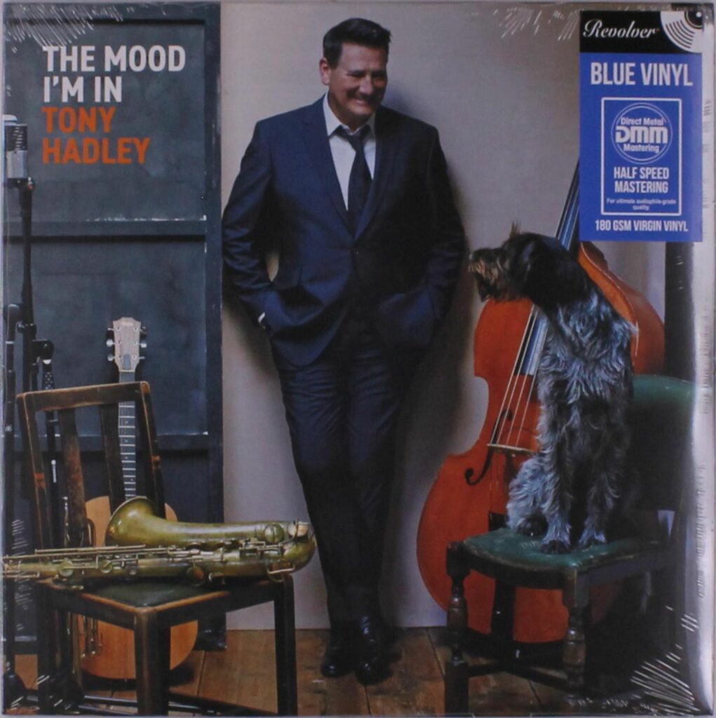 The Mood I'm In (180g) (Blue Vinyl)