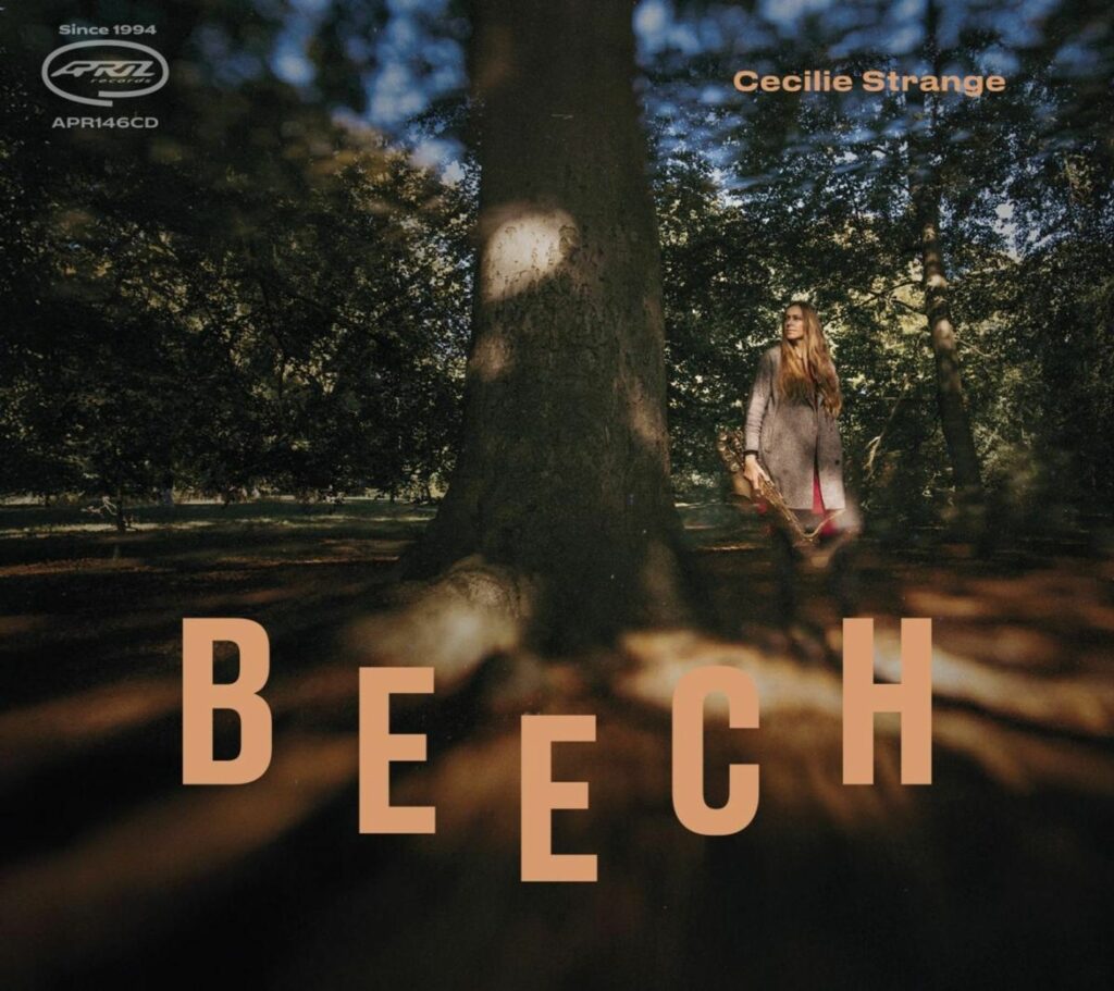 Beech