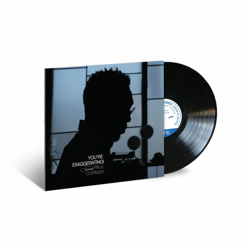 You’re Exaggerating! (180g)