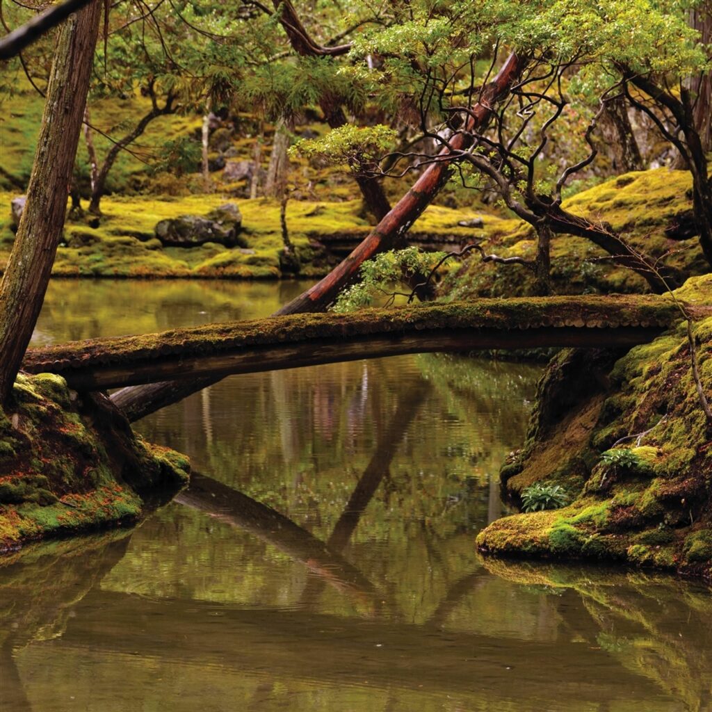 Kammermusik für Violine, Cello & Klavier - "Reverie" (180g)