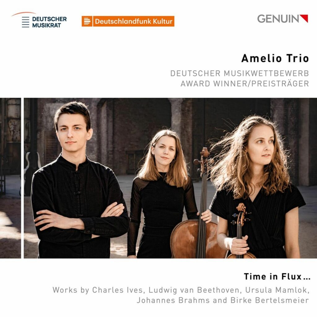 Amelio Trio - Time in Flux ...