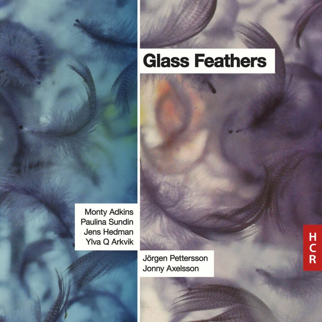 Jorgen Pettersson - Glass Feathers