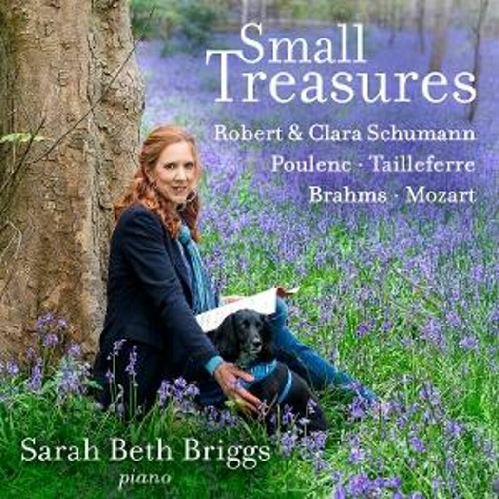 Sarah Beth Briggs - Small Treasures