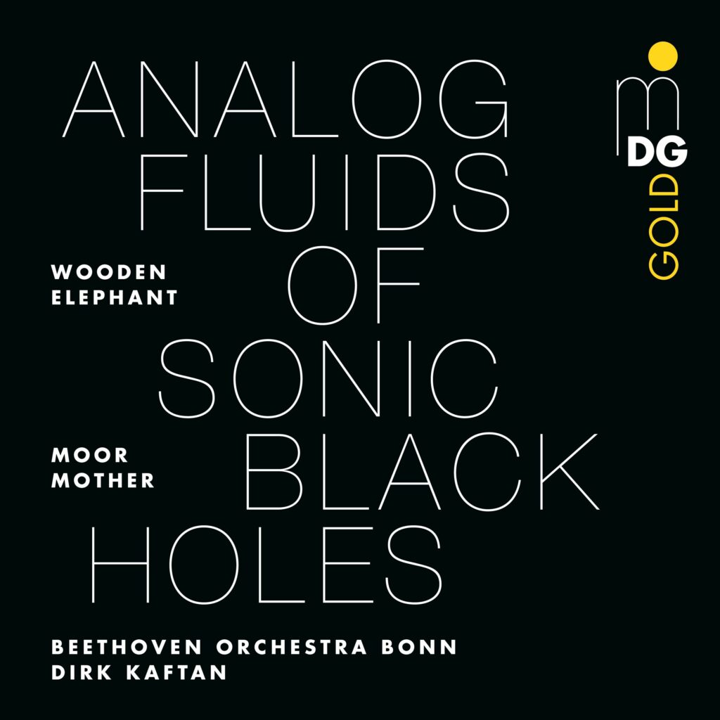 Analog Fluids of Sonic Black Holes (sinfonische Version / 180g)