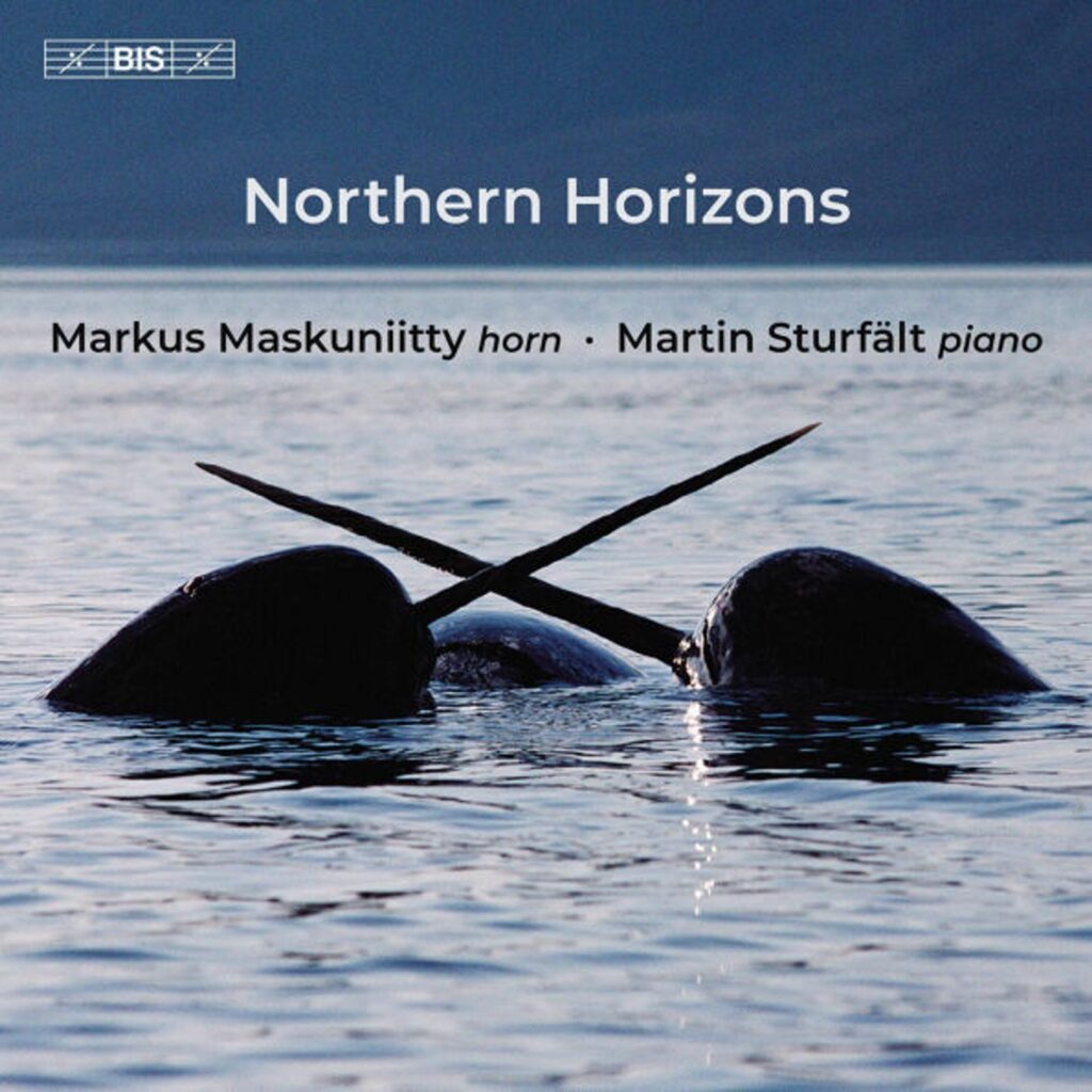 Markus Maskuniitty - Northern Horizons