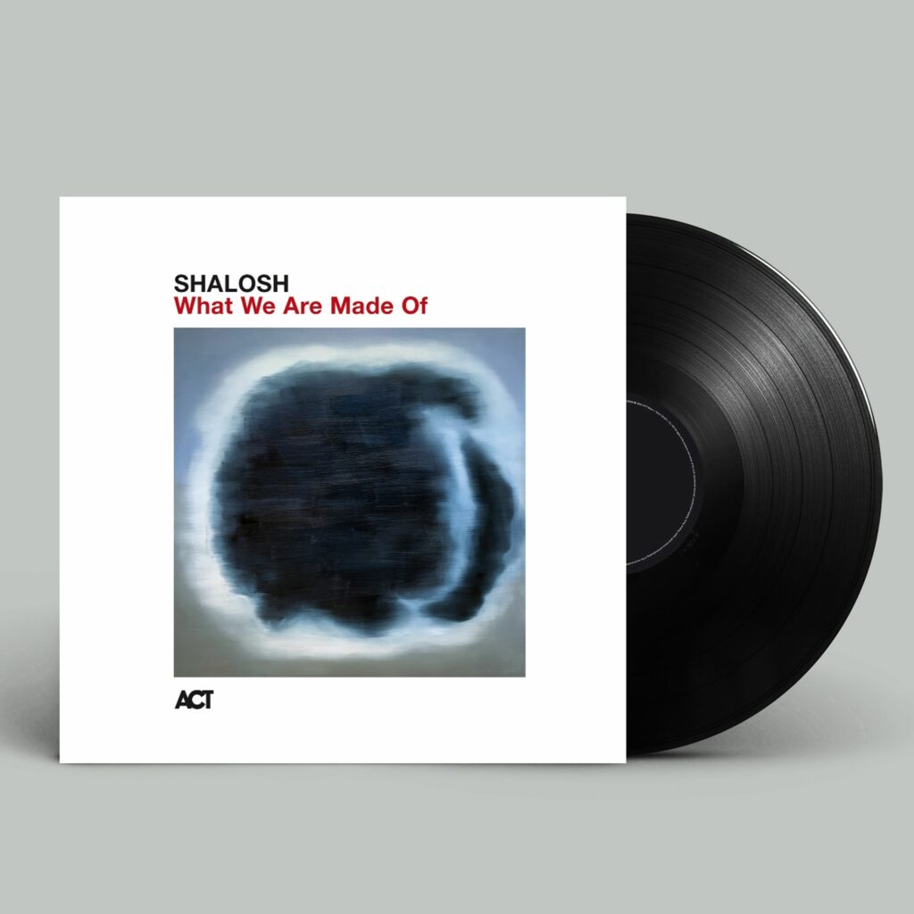 What We Are Made Of (180g)