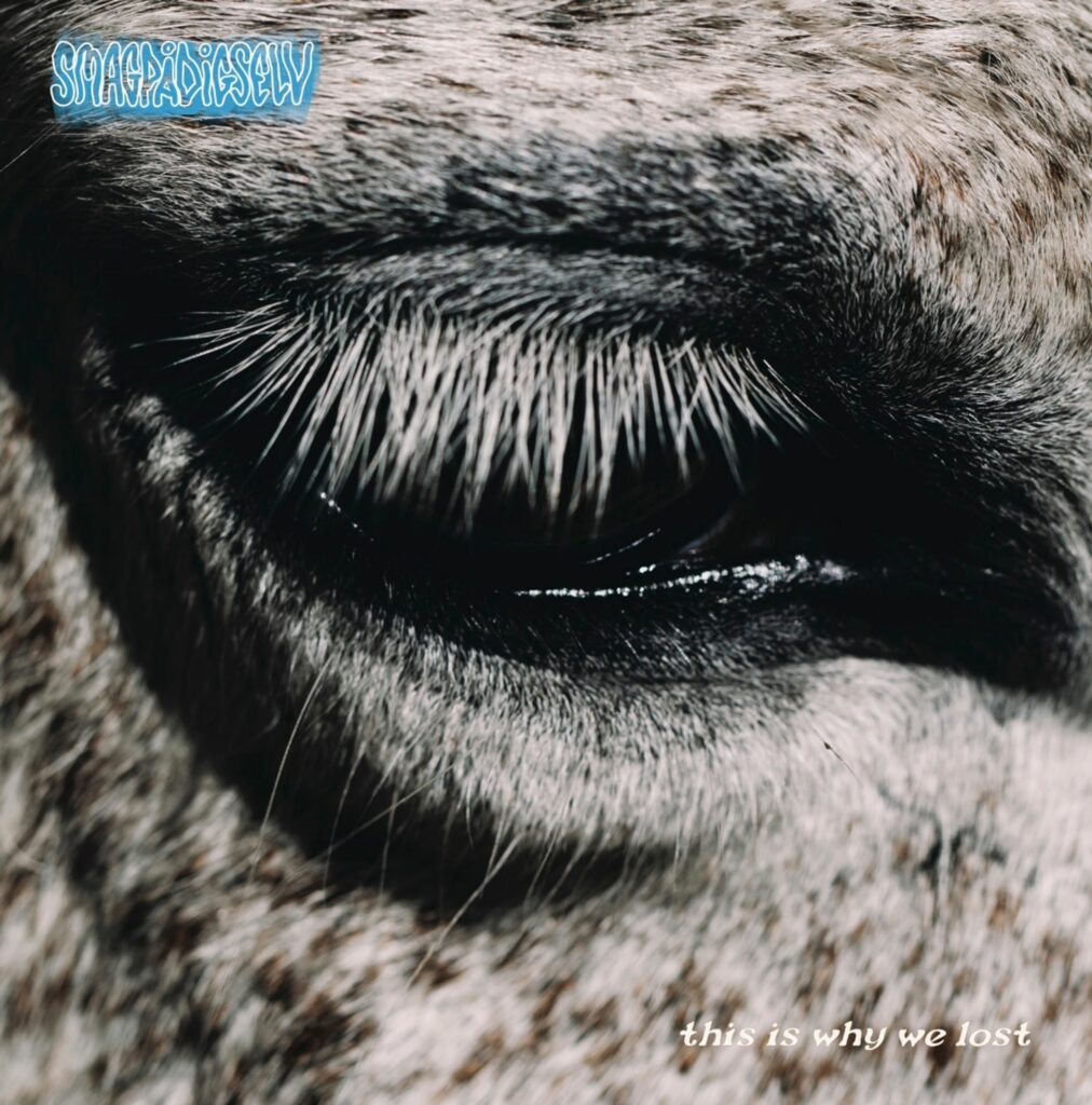 This is Why We Lost (180g)