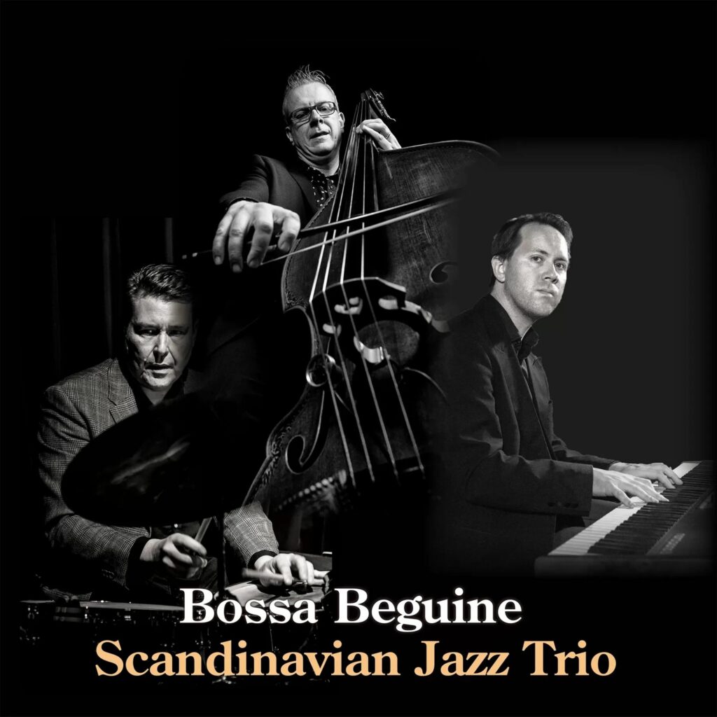 Bossa Beguine (180g) (Limited Edition)