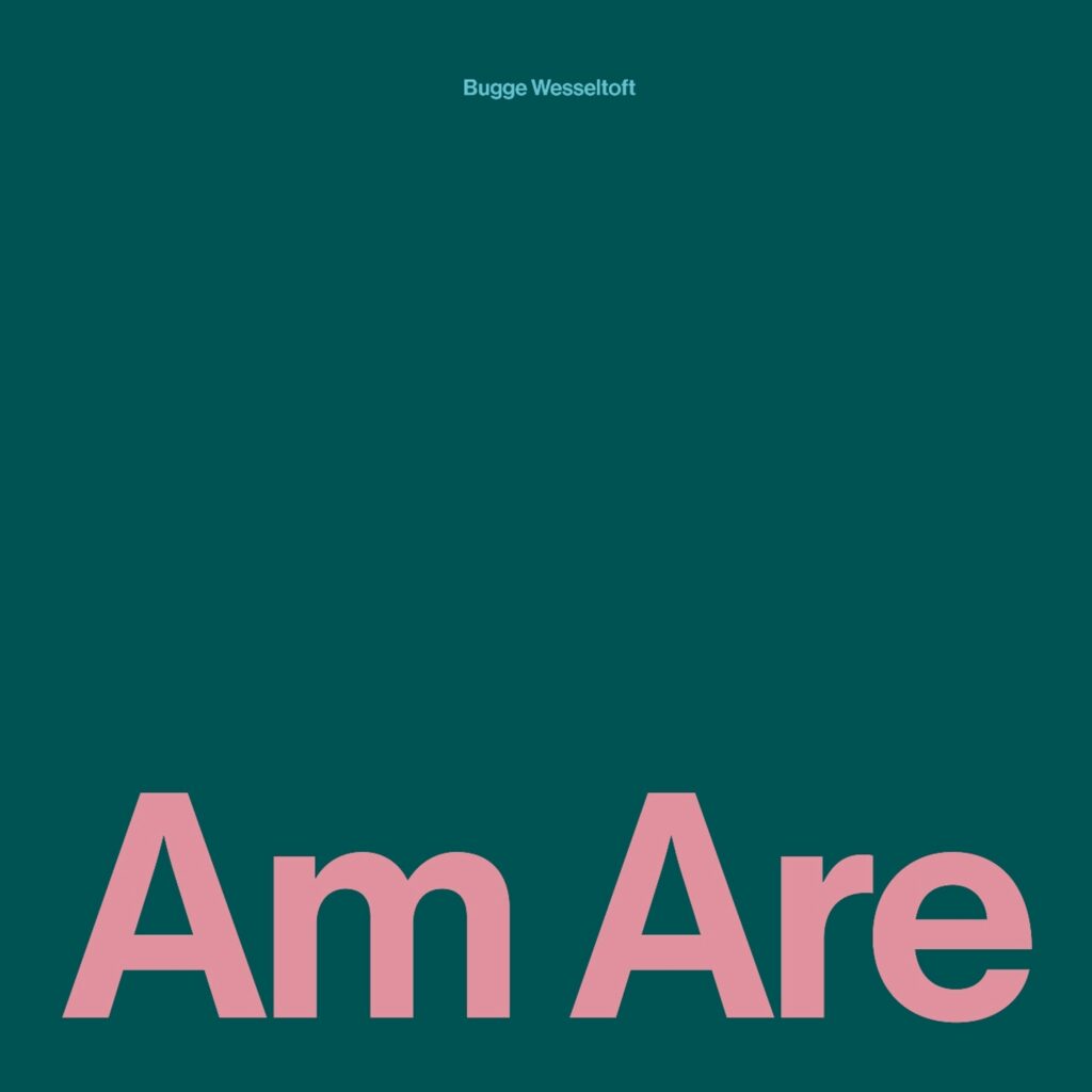 Am Are (Black Vinyl)