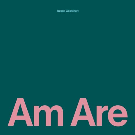 Am Are (Black Vinyl)