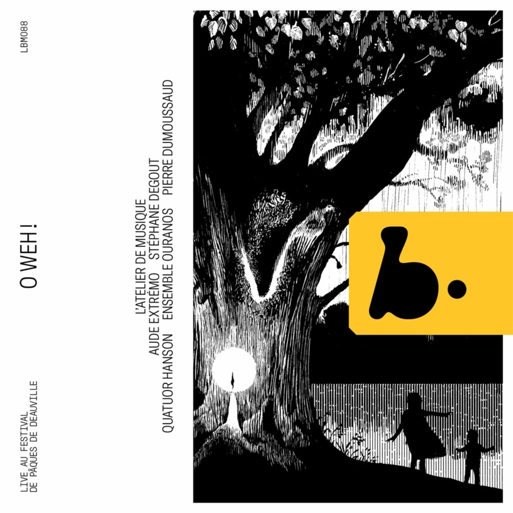 Lieder eines fahrenden Gesellen